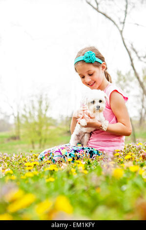 Mädchen-Haustiere-Hund in Wildblumenwiese Stockfoto