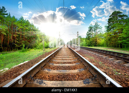 Eisenbahn durch die grünen Pinien Wald Nahaufnahme Stockfoto