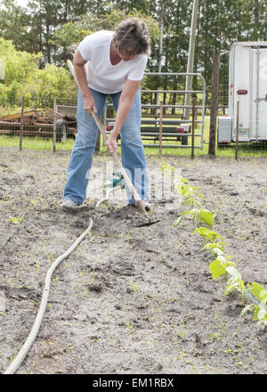 Ältere Frau hacken das Unkraut in ihrem Garten. Stockfoto