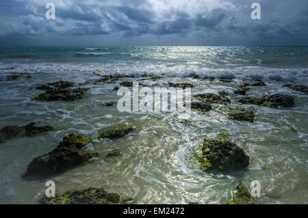 Alten Korallen-Riff bei Ebbe in der Nähe von Sandstrand Sporn, Bahia Honda State Park, Bahia Honda Key, Florida freigelegt. Stockfoto