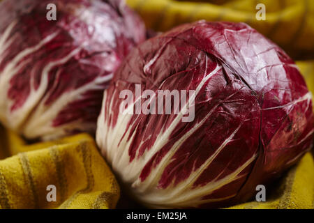 Ganze Köpfe Radicchio oder italienischer Chicorée Stockfoto