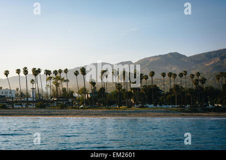 Blick auf Palmen auf das Ufer und die Berge von Stearns Wharf, in Santa Barbara, Kalifornien. Stockfoto