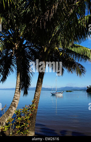 Savusavu Hafen, Vanua Levu Insel, Fidschi, South Pacific Stockfoto