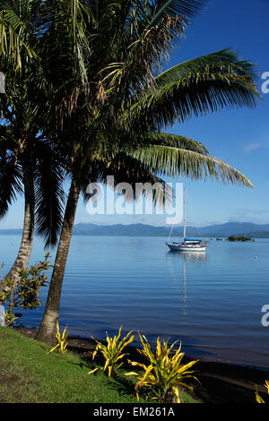 Savusavu Hafen, Vanua Levu Insel, Fidschi, South Pacific Stockfoto