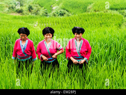 "Lange Haare" Yao Frauen in Longji, China. Stockfoto