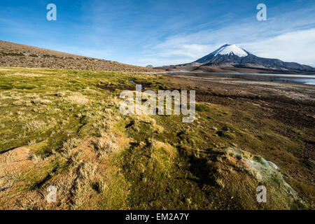 Schneebedeckte Parinacota Vulkan spiegelt sich im See Chungara, Chile Stockfoto