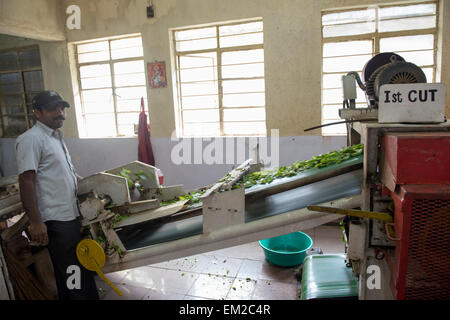 Im Inneren der Kanan Devan Hills Plantagen Tee Firmenmuseum in Munnar, Kerala Indien Stockfoto