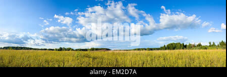 Schönen Sommer Panoramablick auf Wolken und gelbe Wildblumen auf Wiese Stockfoto