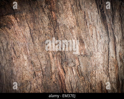 Nahaufnahme der alten hölzernen Textur-Hintergrund Stockfoto