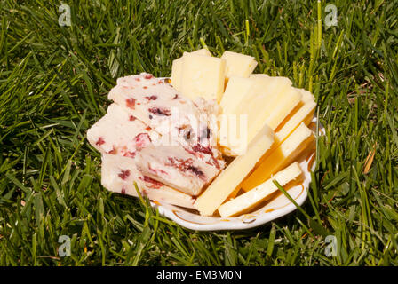 Gelb und Käse mit Preiselbeeren serviert auf dem Rasen Stockfoto