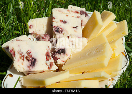 Gelb und Käse mit Preiselbeeren serviert auf dem Rasen Stockfoto