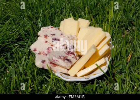 Gelb und Käse mit Preiselbeeren serviert auf dem Rasen Stockfoto