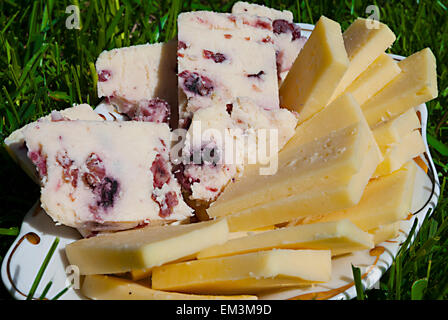 Gelb und Käse mit Preiselbeeren serviert auf dem Rasen Stockfoto