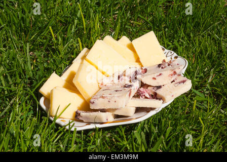 Gelb und Käse mit Preiselbeeren serviert auf dem Rasen Stockfoto