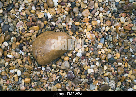 Nahaufnahme eines großen Stein unter kleinen Steinen Stockfoto