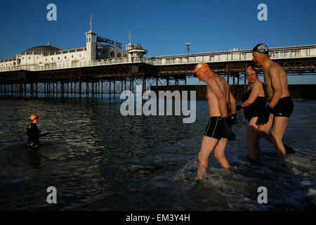 Mitglieder des Schwimmverein Brighton waten ins Meer, bevor ein Morgen schwimmen in der Sonne von Pier von Brighton in East Sussex 14. April 2