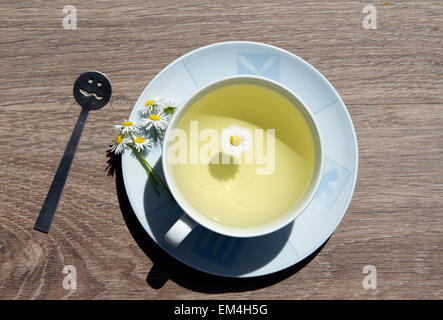 Kamillentee in eine Glasschale Stockfoto