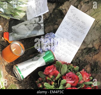 Hommagen an Amy Winehouse nach ihrem Tod von ihren Fans vor ihrem Haus in Camden London im Juli 2011 Stockfoto