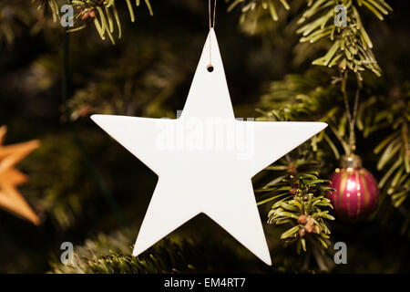 White Christmas star Stockfoto