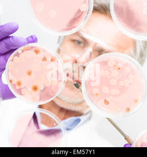 Senior Life-Science-Forscher. Stockfoto