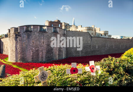 Der Tower of London am Tag des Waffenstillstands, UK. Stockfoto