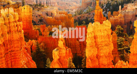 Erhöhte szenische Ansicht der Bryce-Canyon-Nationalpark. Stockfoto