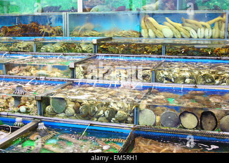 Aquarium im Markt in Hongkong Stockfoto