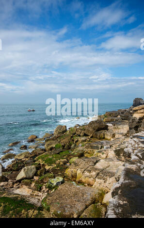 Blick auf die felsige Küste in der Nähe von Portland auf der Jurassic Coast, Dorset, England, UK Stockfoto