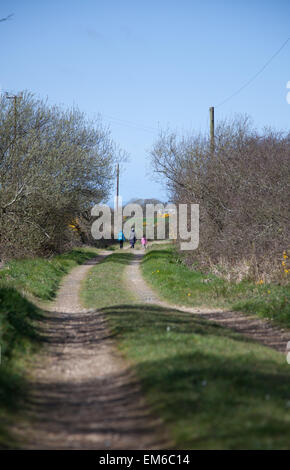 Long Shot eine Familie nehmen ein gemütlicher Spaziergang unten ein Land Rasen verfolgen / Bauernhof Spur an einem sonnigen Frühlingstag tragen Mäntel und Hüte Stockfoto