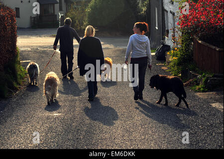 Hundebesitzer genießen Sie das Wetter an einem der heißesten Tage des Jahres so weit in Ysbyty Ystwyth Grafschaft Ceredigion. Bildnachweis: Jonny White/Alamy Live-Nachrichten Stockfoto