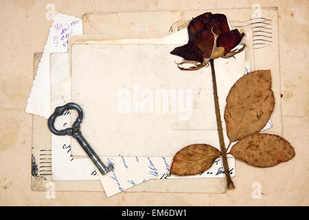 alte Briefe, leere Postkarten und getrocknete rose Stockfoto