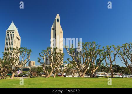 Ein Foto von einige Hochhäuser in San Diego vom Park am Seaport Village gesehen. Stockfoto