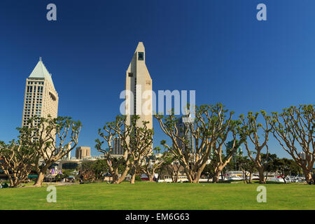 Ein Foto von einige Hochhäuser in San Diego vom Park am Seaport Village gesehen. Stockfoto