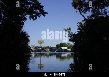 Blick von einem Kanal zu den Homosassa River, Florida Stockfoto