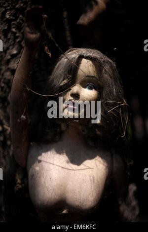 Eine Puppe hängt an einem Baum auf der Insel der Puppen in Xochimilco, südlichen Mexiko-Stadt Stockfoto