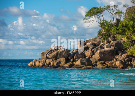 Tropische Insel Strand Anse Lazio, Praslin, Seychellen Stockfoto