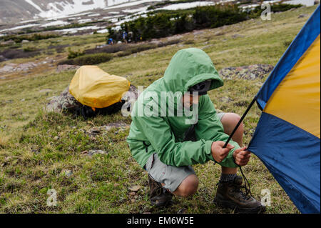 Jungs machen Camp in einer Almwiese während einer Rucksack-Reise durch die hohe Uintas Wilderness Area, Uintas Range, Utah Stockfoto