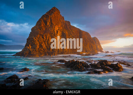 Lion Rock - Southwest-Nationalpark - Tasmanien - Australien Stockfoto