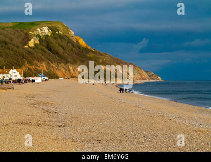 Blick vom Strand von Seaton East Devon England UK Blick nach Osten in Richtung der Undercliffs Nature Reserve Stockfoto