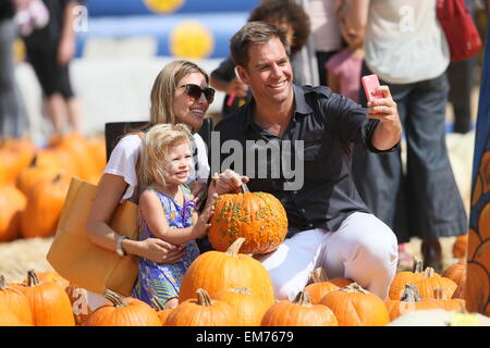 Michael Weatherly und Frau Bojana Jankovic gesehen unter ihre Tochter Olivia Weatherly, Mr Bones Pumpkin Patch Featuring: Michael Weatherly, Bojana Jankovic, Olivia Weatherly wo: Los Angeles, California, Vereinigte Staaten von Amerika bei: 13. Oktober 2014 Stockfoto