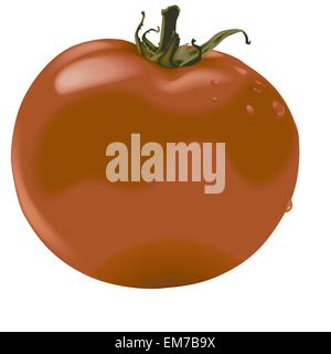 Tomaten Stock Vektor