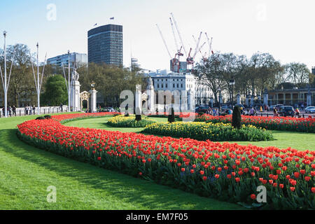 Blumenbeete mit Tulpen gegenüber Buckingham Palace, London, UK Stockfoto