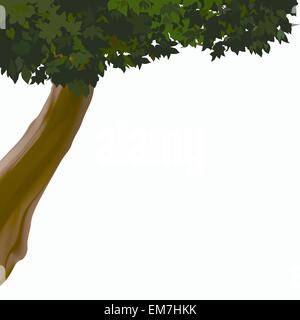 Laubbaum Stock Vektor