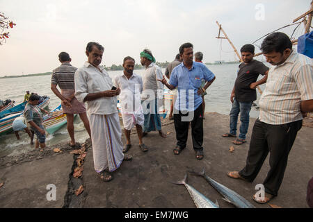 Fischer bringen und verkaufen die Tage fangen, Fort Kochi Kerala Indien Stockfoto