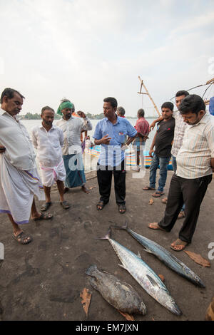 Fischer und verkaufen die Tage fangen, Fort Kochi Kerala Indien Stockfoto