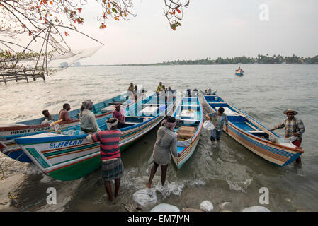 Fischer bringen und verkaufen die Tage fangen, Fort Kochi Kerala Indien Stockfoto