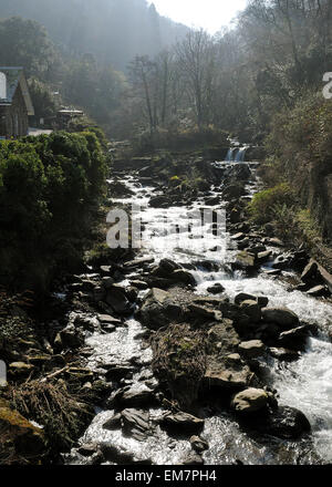 Lynmouth Glen Lyn Schlucht Stockfoto