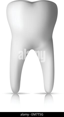 Backenzahn Stock Vektor