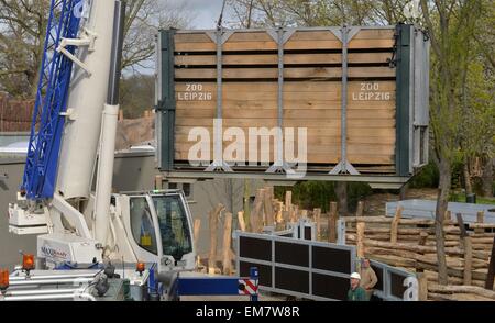 Leipzig, Deutschland. 17. April 2015. Die schwarze Nashorn Serafine werden in einer Box mit dem neuen Rhino-Gehäuse im Zoo Leipzig, Deutschland, 17. April 2015 transportiert. Sowohl der Leipziger Nashörner, Nandi und Serafine, in speziellen Transportboxen am Haken ein Schwerlastkran aus ihrem alten Gehege nach neuen Kiwara Kopje verlegt. Für den Umzug Tierpfleger seit zwei Wochen praktiziert. Foto: HENDRIK SCHMIDT/Dpa/Alamy Live News Stockfoto