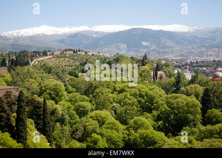 Schneebedeckten Bergen der Sierra Nevada angesehen von der Alhambra, Granada, Spanien Stockfoto